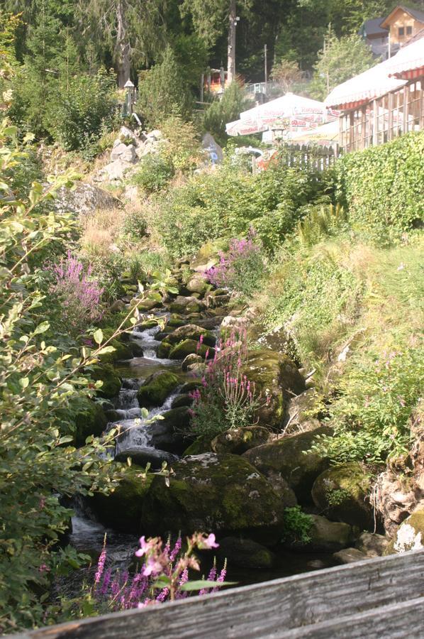 Gaestehaus Zur Lilie Triberg im Schwarzwald Exterior photo